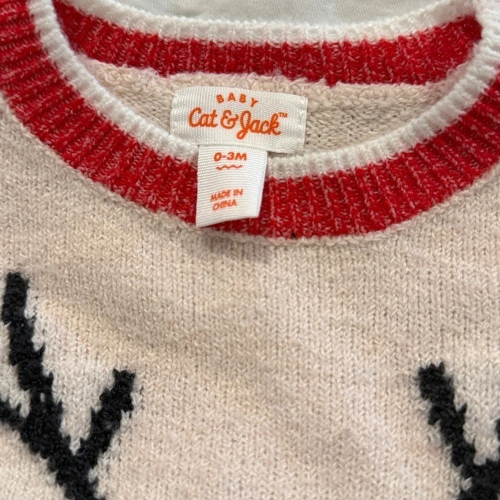 Cat & Jack brand cat